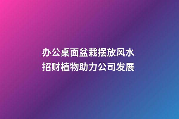 办公桌面盆栽摆放风水 招财植物助力公司发展